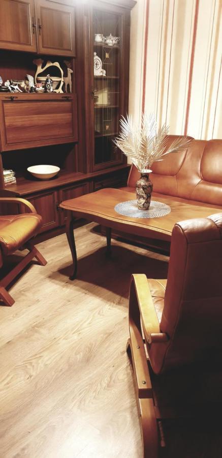 Apartamenty Izera Jaworzno Blisko Katowic エクステリア 写真